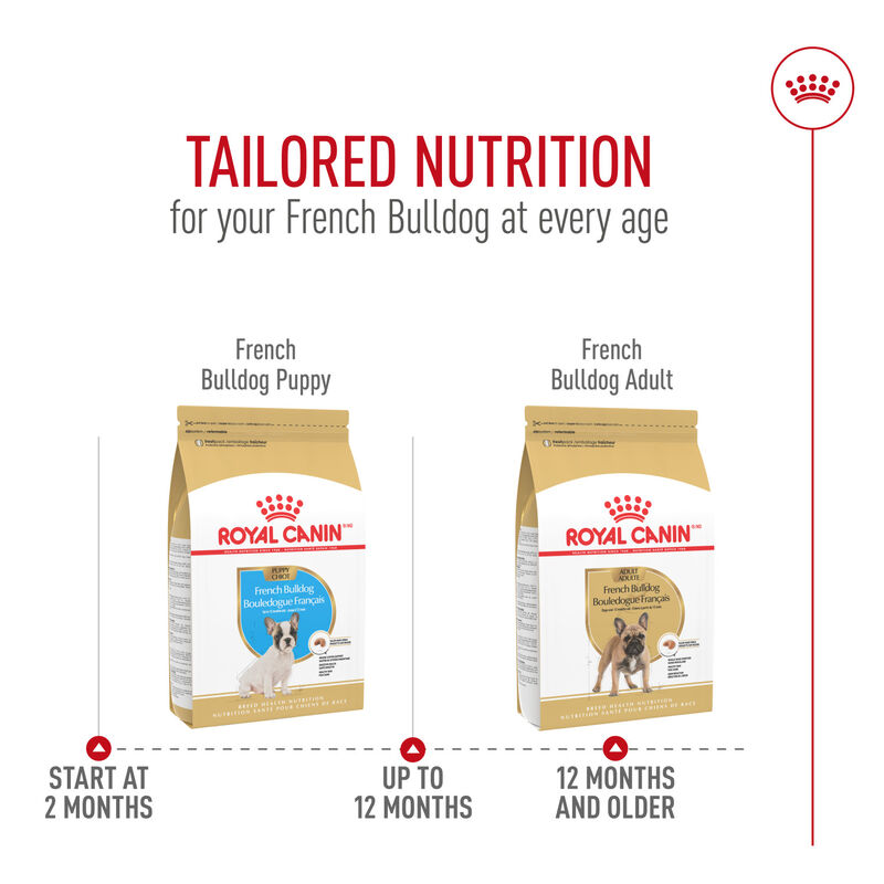 Royal Canin, Breed Health Nutrition - French Bulldog Puppy - 4.76 kg - Dry Dog Food image number null