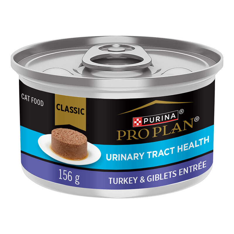 Purina Pro Plan Urinary Tract Health Turkey & Giblets Entr&eacute;e Classic Adult Wet Cat Food image number null