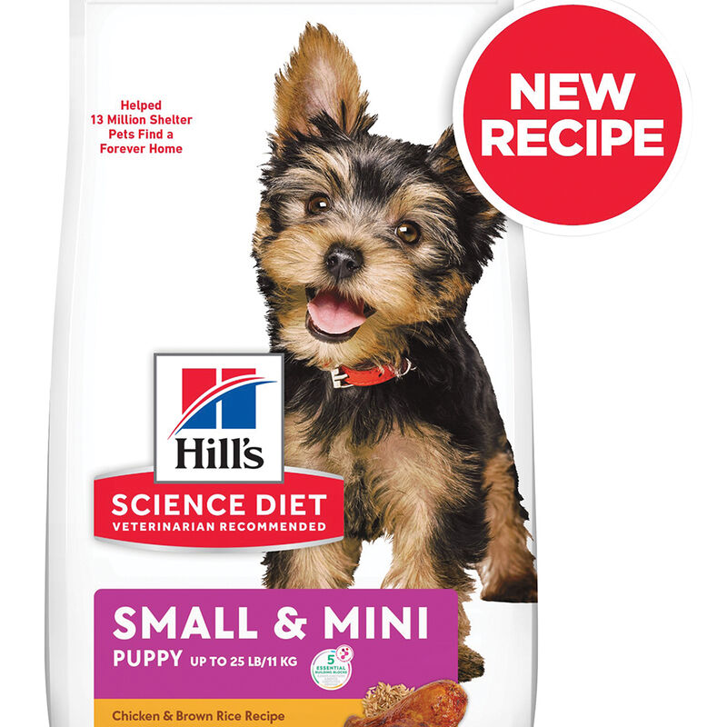 Science Diet, Puppy Small Paws Chicken Meal, Barley & Brown Rice Recipe Dry Dog Food, 2.04 kg - Dry image number null