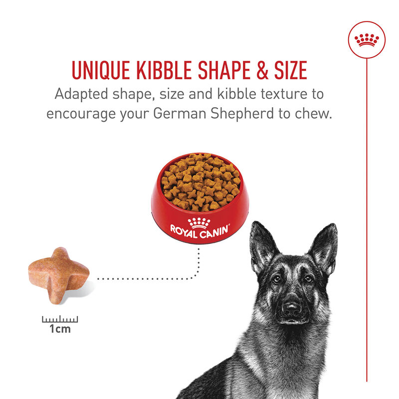 Royal Canin, Breed Health Nutrition German Shepherd Adult - Dry Dog Food image number null