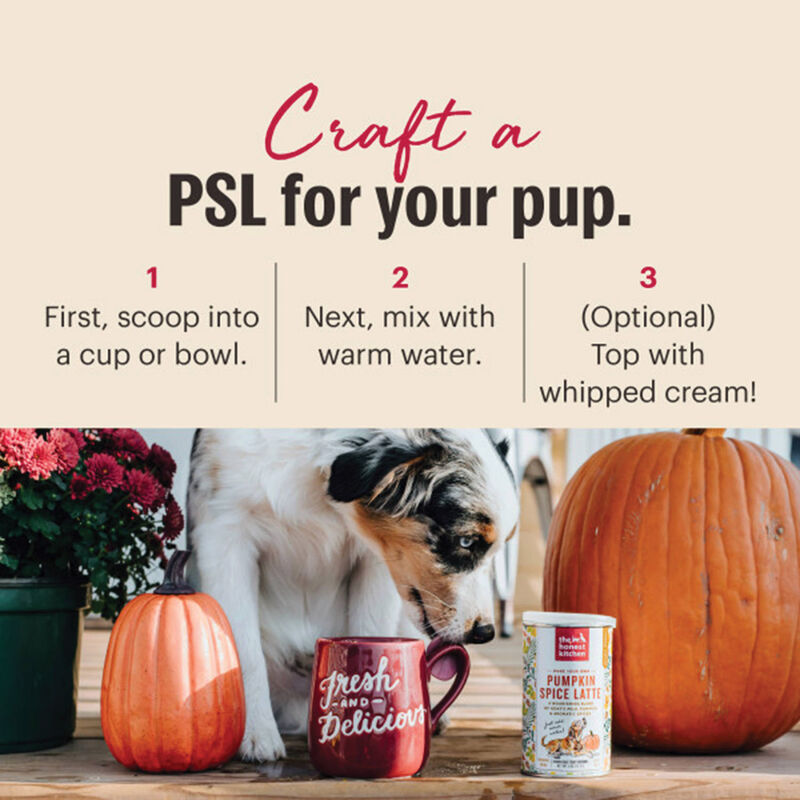 The Honest Kitchen, Instant Pumpkin Spice Latte for Dogs image number null