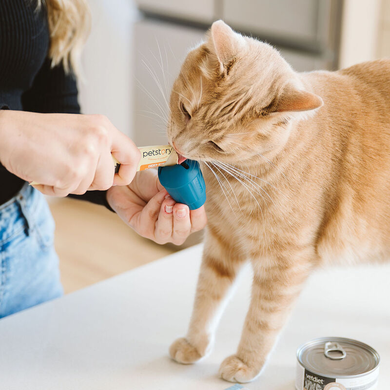 BeOneBreed OBEE! Cat Stuff image number null
