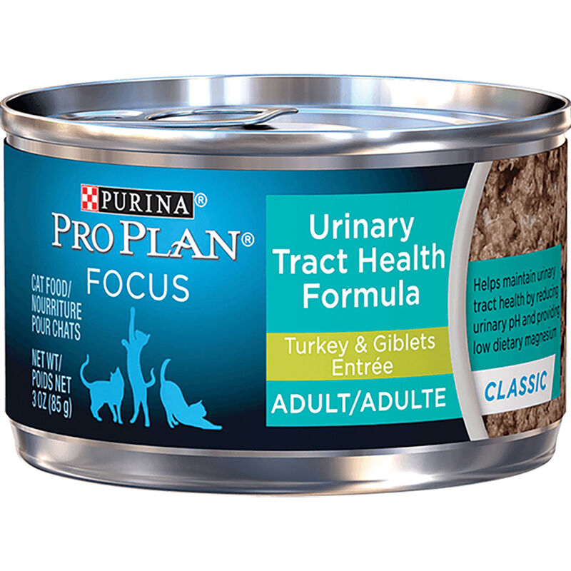 Purina Pro Plan Urinary Tract Health Turkey & Giblets Entrée Classic Adult Wet Cat Food image number null