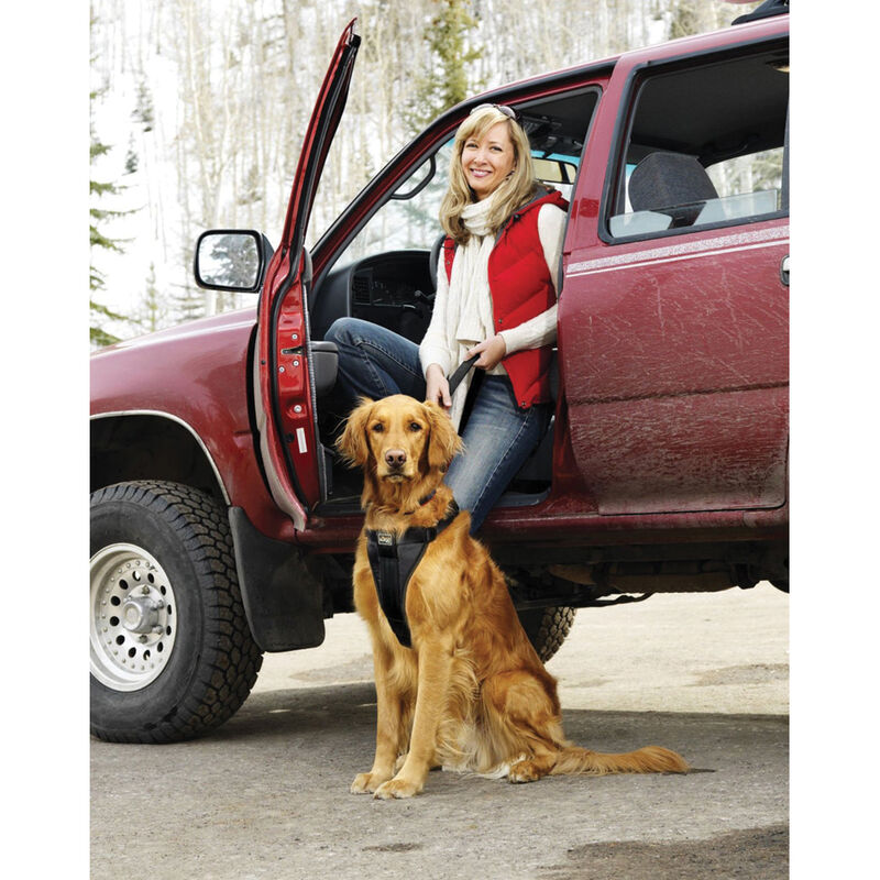 Kurgo, Tru-Fit Smart Harness - Black - X-Large - 80 lb image number null