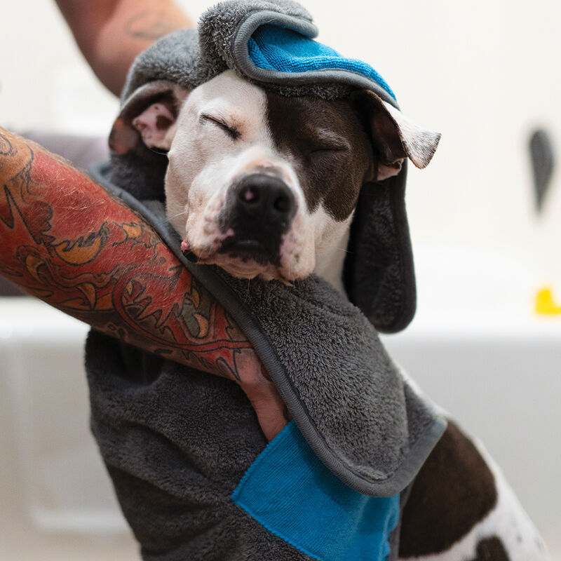 Messy Mutts, Microfiber Ultra Soft Towel w/ Hand Pockets - Medium image number null