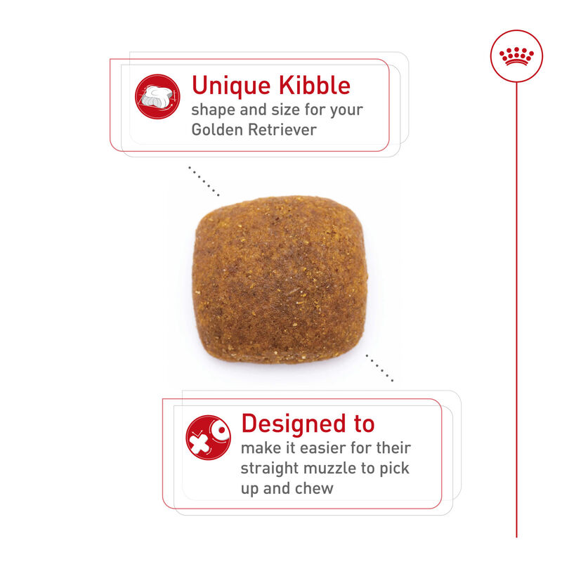 Royal Canin, Breed Health Nutrition Golden Retriever Adult - Dry Dog Food image number null