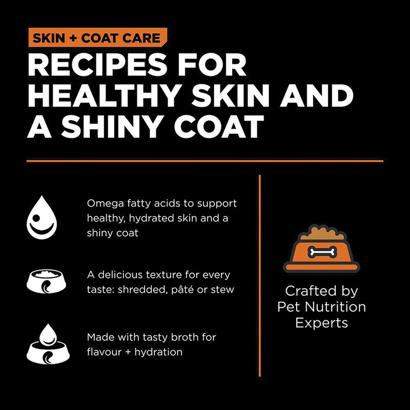 GO! SOLUTIONS, SKIN + COAT CARE Salmon PÃ¢tÃ© for cats image number null