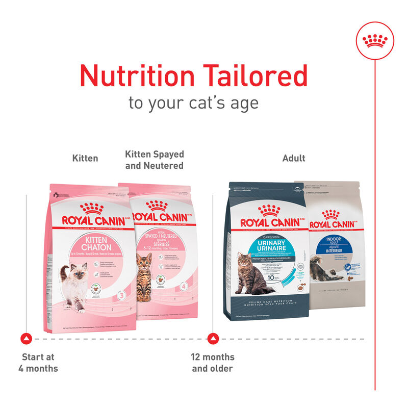 Royal Canin, Feline Health Nutrition Kitten Dry Cat Food - Dry Cat Food image number null