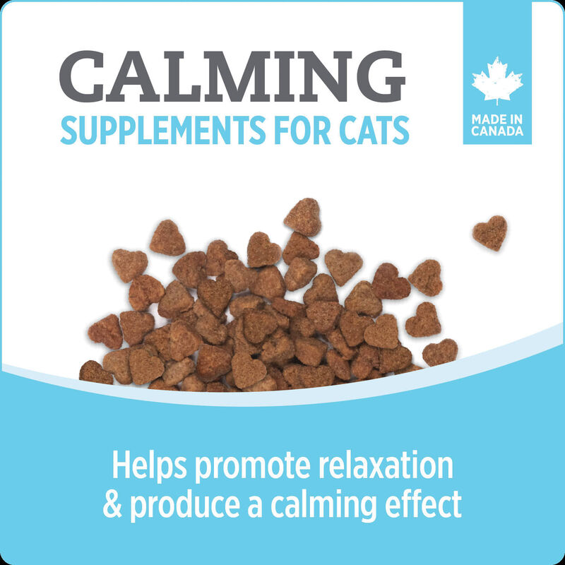 Nutrience, Calming Cat Supplement image number null
