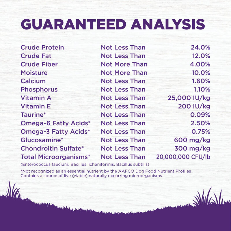 Wellness, Adult Complete Health - Lamb & Barley - 11.8 kg - Dry Dog Food image number null