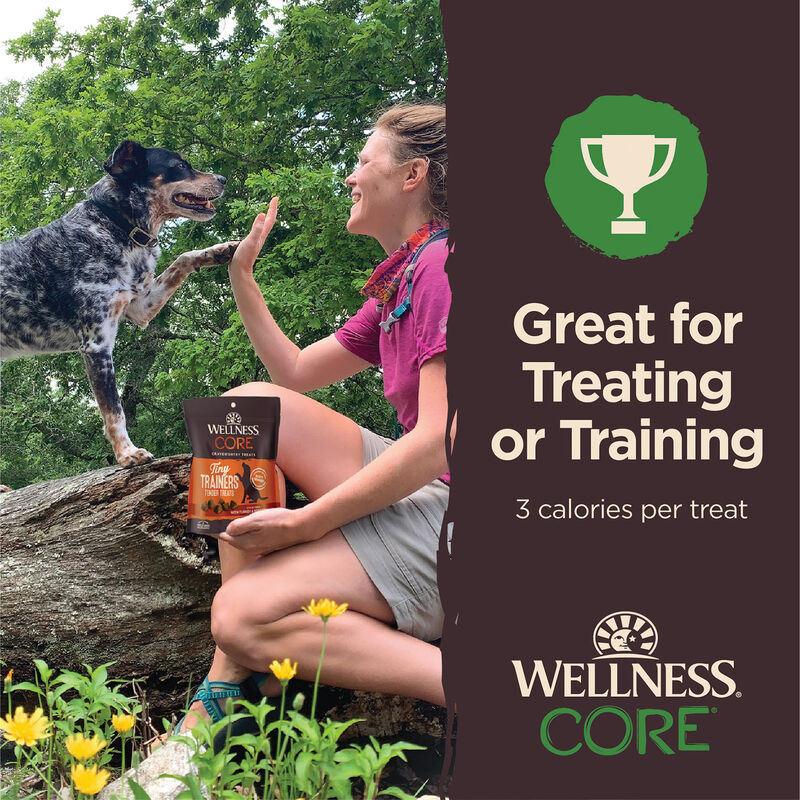 Wellness, Core - Tiny Tasters GF Treats - Lamb & Apple - 170 g - Dog Treat image number null