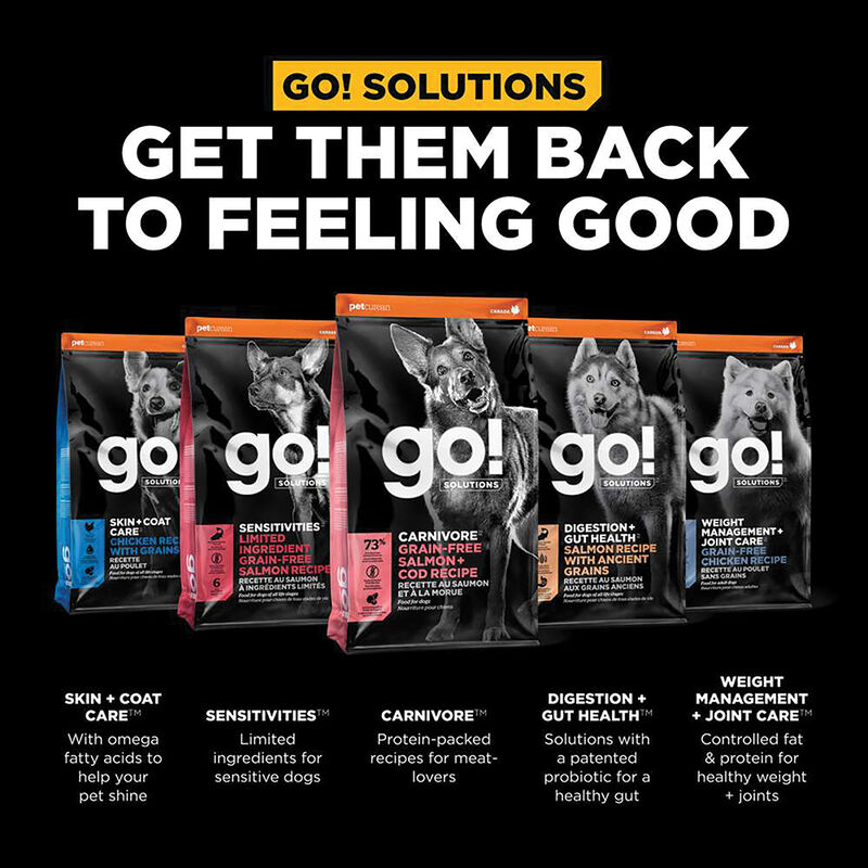 GO! SOLUTIONS CARNIVORE Grain Free Salmon + Cod Recipe for dogs image number null