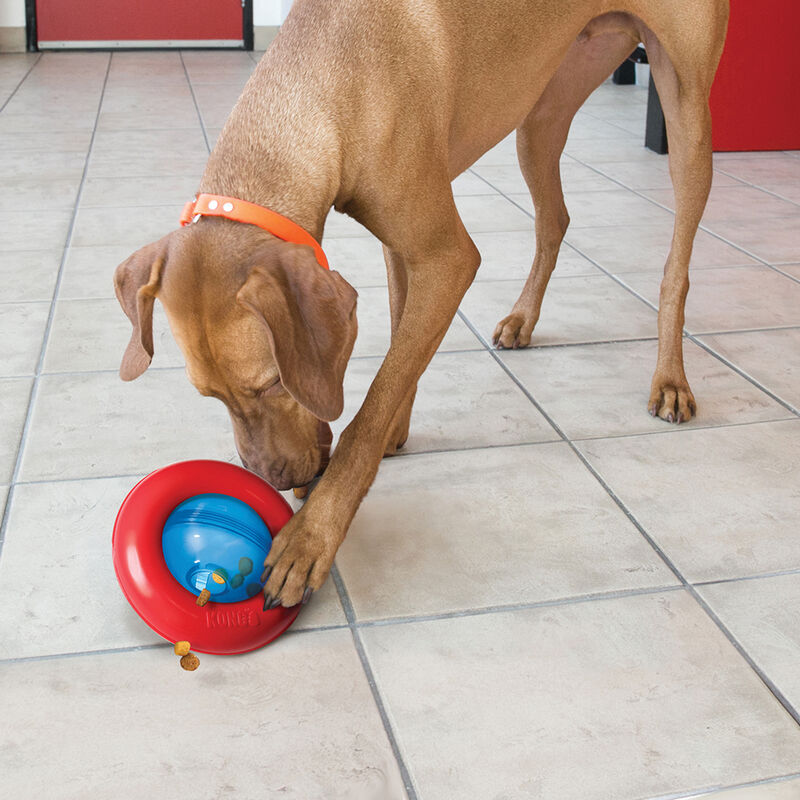 KONG, Dog Gyro - Toss Dog Toy image number null