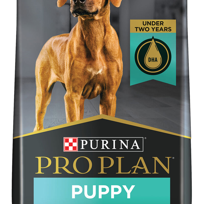 Purina Pro Plan Development Under Two Years Puppy, Large Breed Dry Dog Food Formula 8.16kg image number null