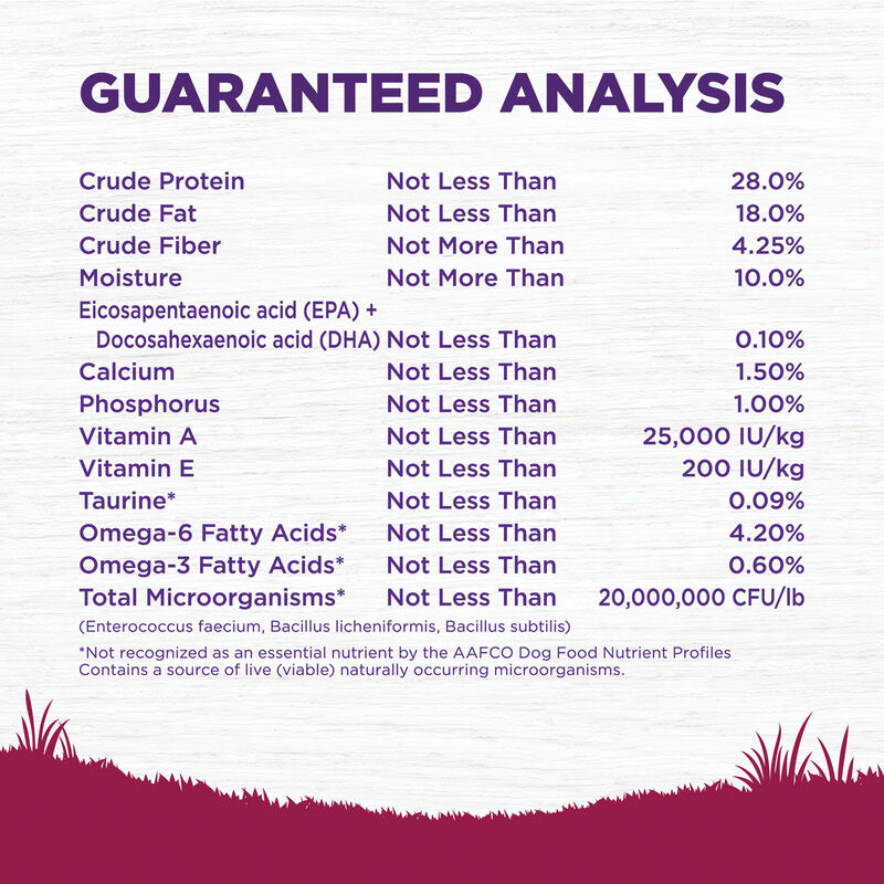 Wellness, Complete Health Small Breed, Puppy Turkey, Oatmeal & Salmon - 4 lb - Dry Dog Food image number null