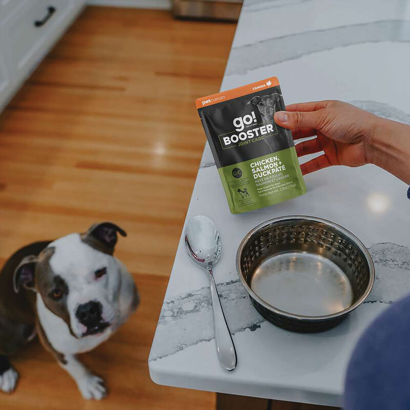 GO! SOLUTIONS,  BOOSTER Joint Care Chicken, Salmon+ Duck Pate - 78 g - Wet Dog Food image number null