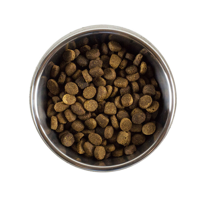 BeOneBreed, Concrete Bowl - Dog Bowl image number null