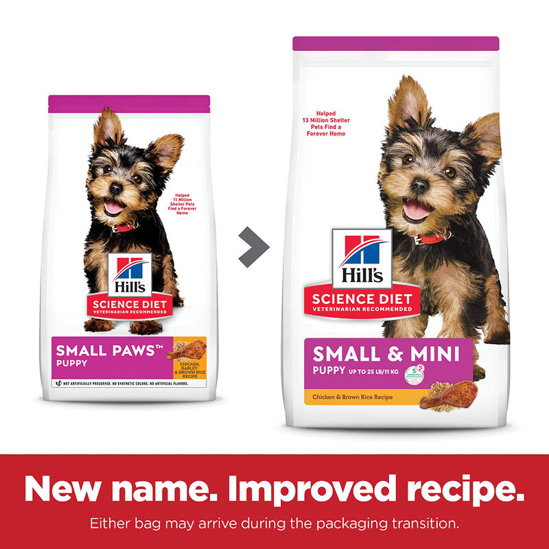 Science Diet, Puppy Small Paws Chicken Meal, Barley & Brown Rice Recipe Dry Dog Food, 2.04 kg - Dry image number null