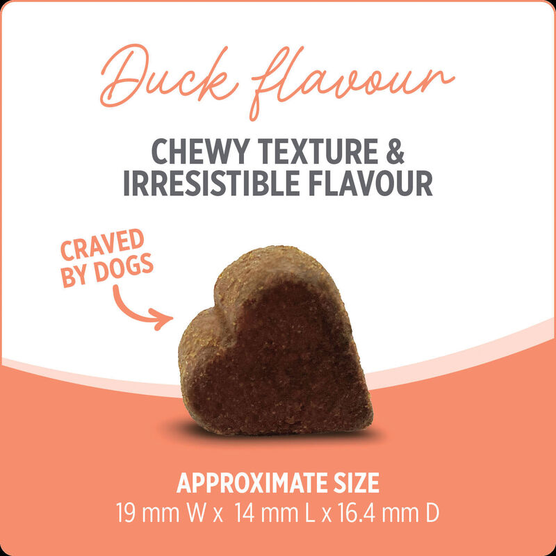 Nutrience, Probiotic+ Dog Supplement image number null