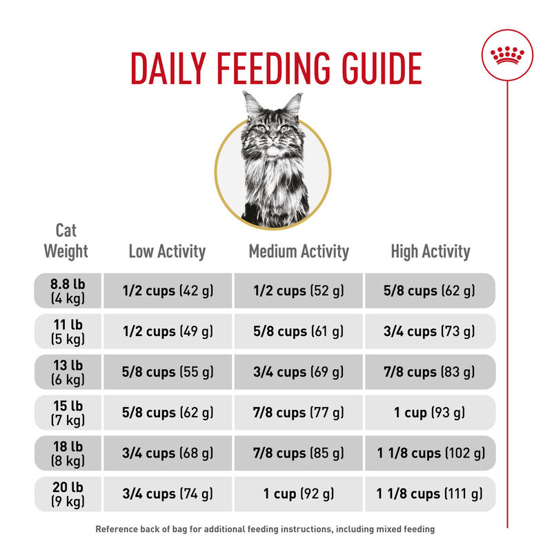 Royal Canin, Feline Breed Nutrition Maine Coon - Dry Cat Food image number null