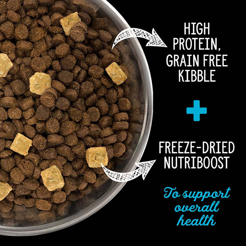Nutrience, Feline Adult - SubZero Grain Free - Canadian Pacific - Dry Cat Food image number null