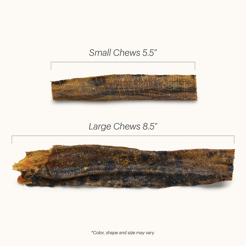 The Honest Kitchen, Ocean Chews -  Wolffish Skins - Dog Rawhide & Natural Chews image number null