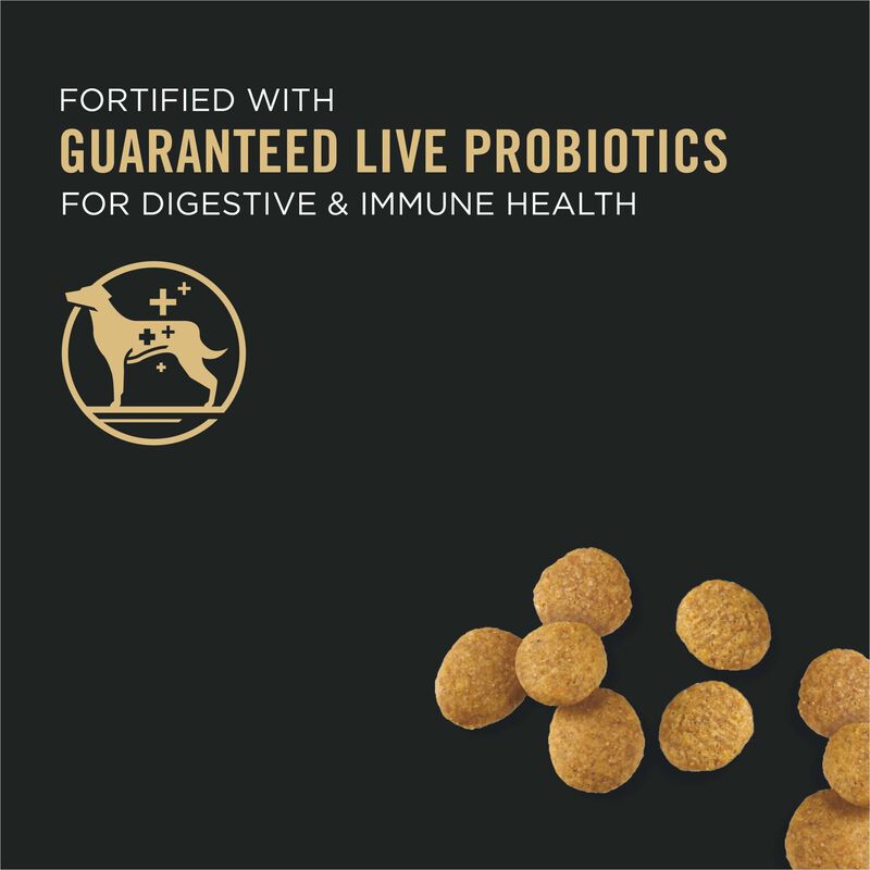 Purina Pro Plan Development Under Two Years Puppy, Large Breed Dry Dog Food Formula 8.16kg image number null