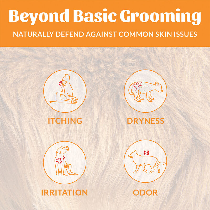 Skouts Honor, Probiotic ShampooPlusConditioner-Honeysuckle-16 oz image number null