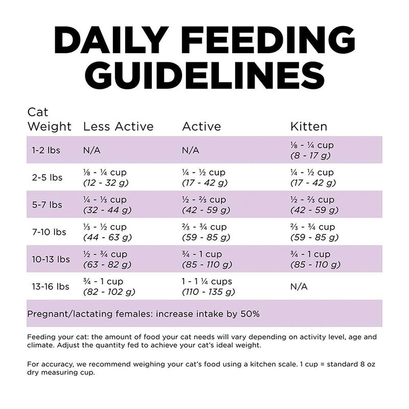 GO! SOLUTIONS CARNIVORE Grain Free Chicken, Turkey + Duck Recipe for cats image number null