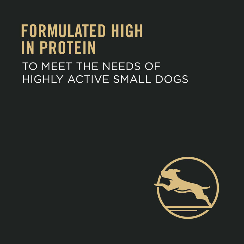 Purina Pro Plan Specialized Small Breed Adult, Chicken & Rice Dry Dog Food 8.16kg image number null