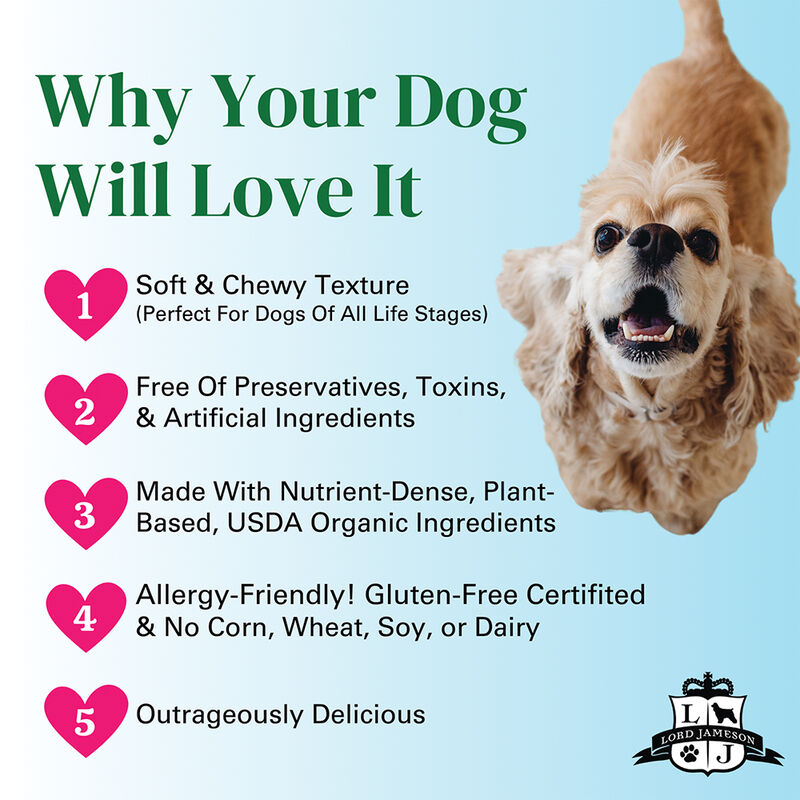 Lord Jameson, Savory Sweet Organic Dog Treats - 170 g Dog Treats image number null