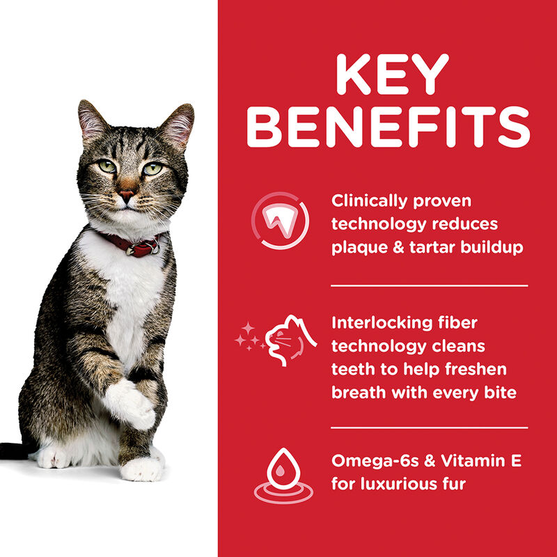 Science Diet, Adult Oral Care Chicken Recipe Dry Cat Food for dental health - Dry Cat Food image number null