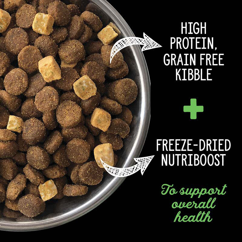 Nutrience, Puppy - SubZero Grain Free - Fraser Valley - Dry Dog Food image number null