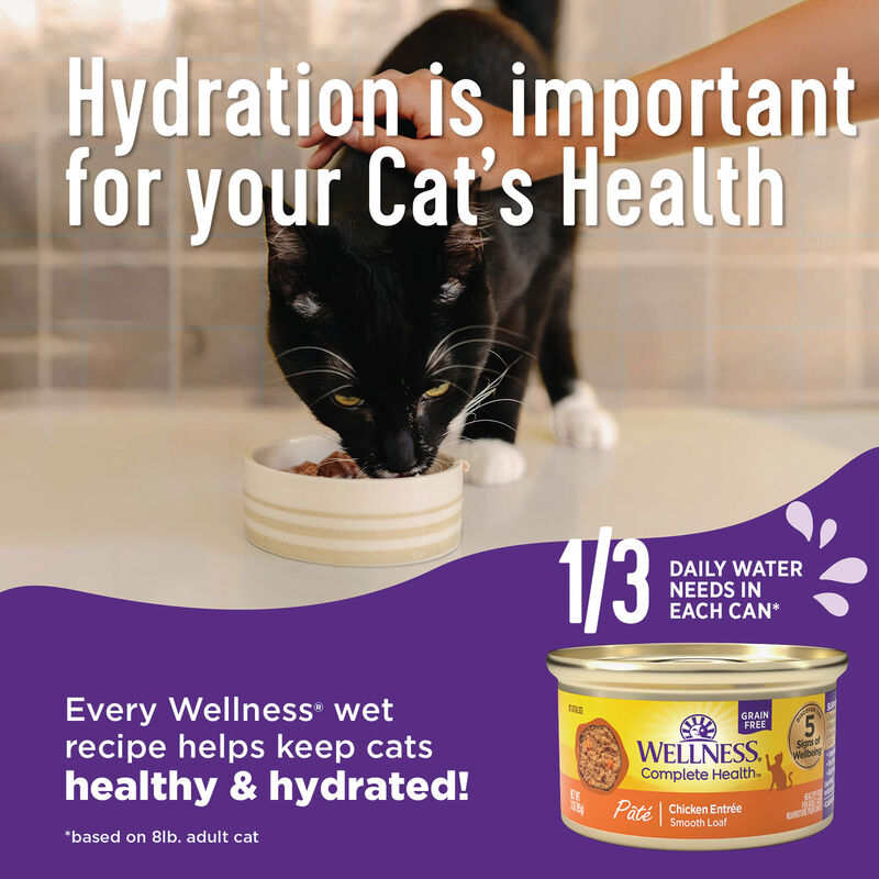 Wellness, Canned Cat Food, Complete Health, Beef & Chicken - Wet Cat Food image number null