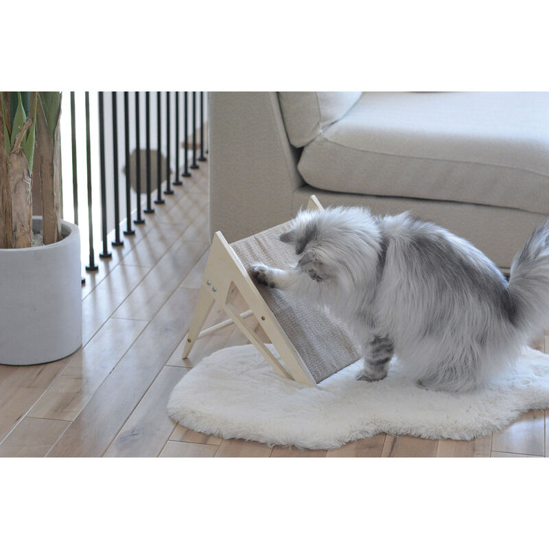 Reversible Scratcher image number null