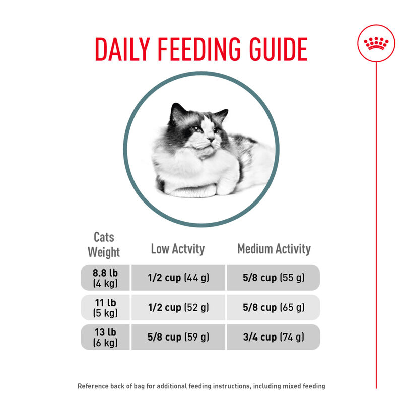 Royal Canin, Feline Care Nutrition Indoor Hairball Care - Dry Cat Food image number null