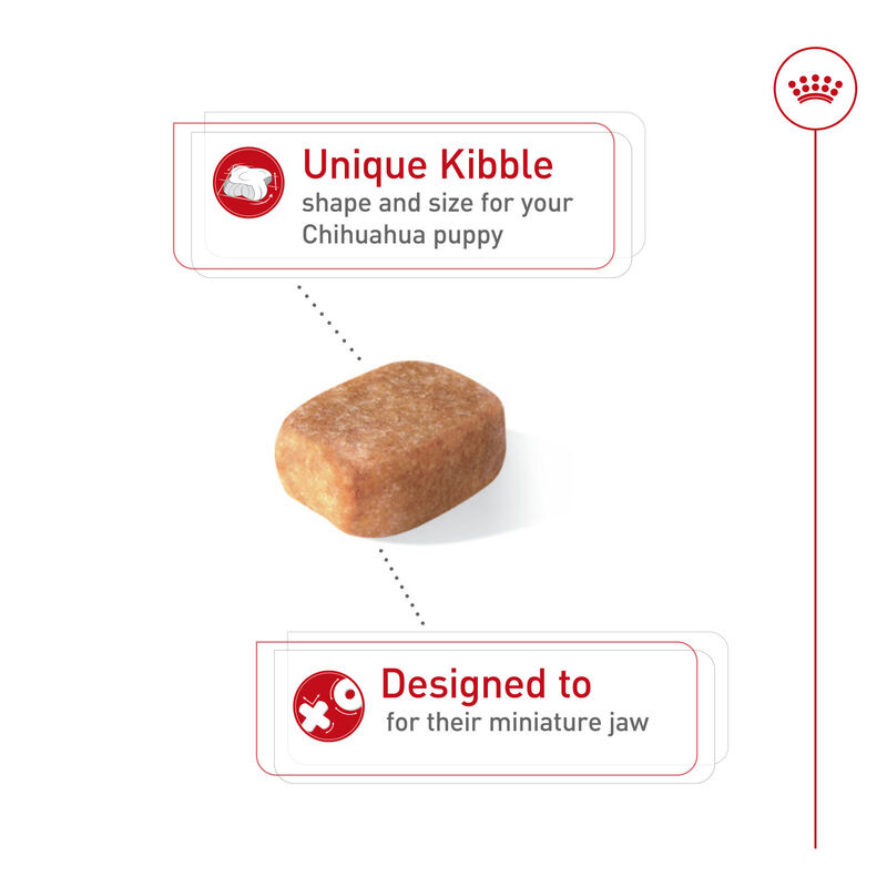 Royal Canin, Breed Health Nutrition Chihuahua Puppy - Dry Dog Food image number null