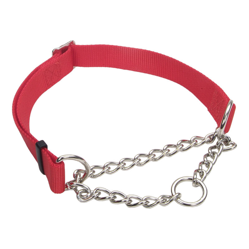 Adjustable Training Collar for Dogs, Red, Medium - 3/4" x 14"-20" image number null