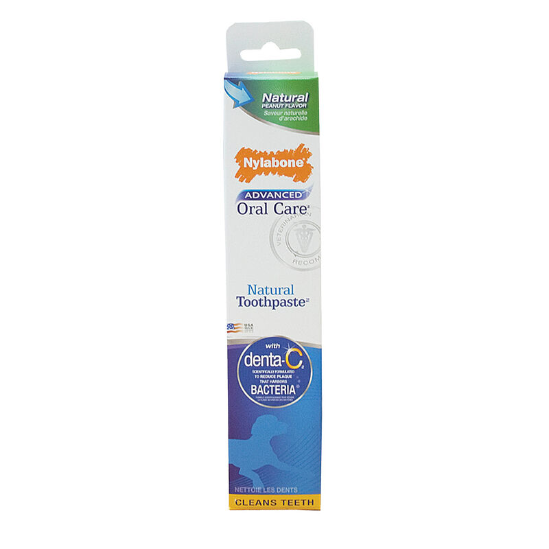 Nylabone, Advanced Oral Care, Natural Toothpaste image number null