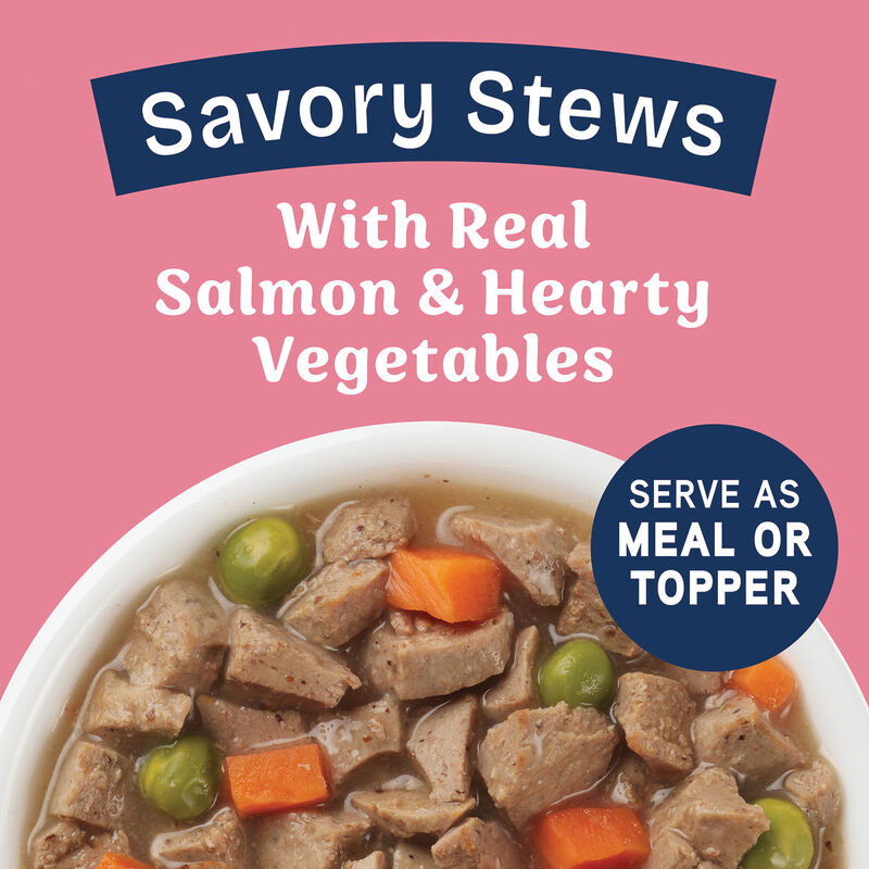 Natural Balance, Health Protection - Salmon & Pumpkin Stew - Wet Dog Food image number null