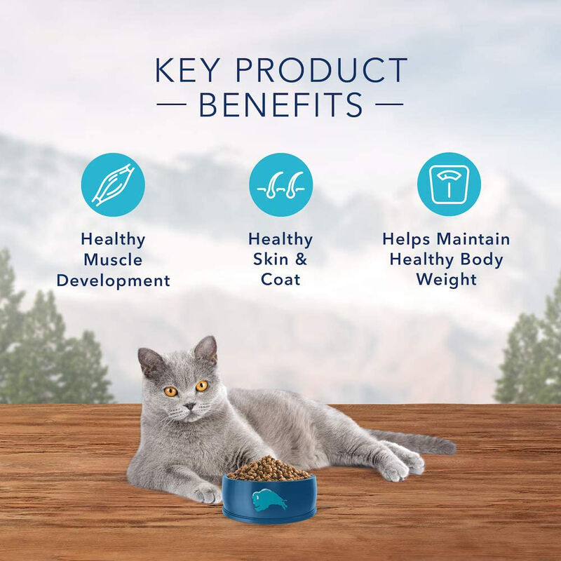 Blue Buffalo, Feline Adult - Wilderness Indoor - Chicken - Dry Cat Food image number null