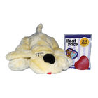 Snuggle Puppy, Puppy - Golden image number null