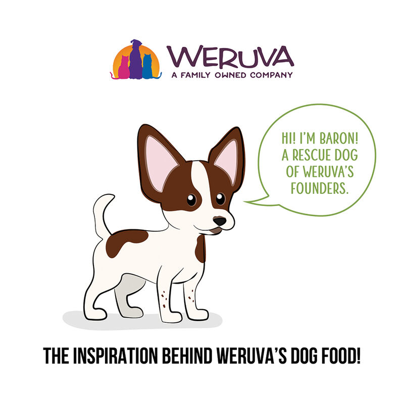 Weruva, Pouch, Adult - Lamburgini - 80 g - Minced - Wet Dog Food image number null