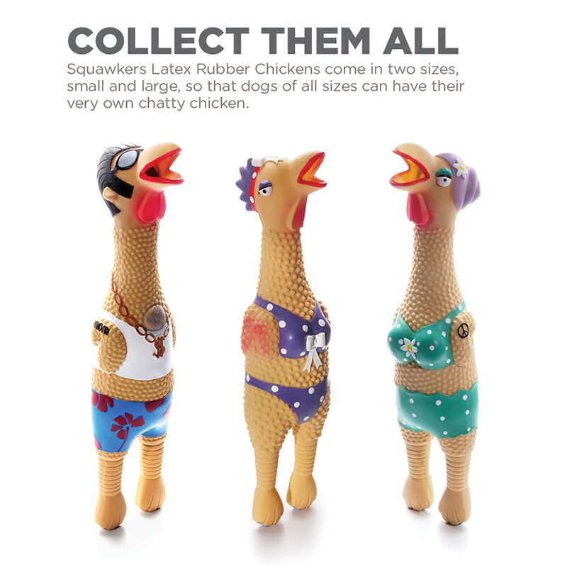 Outward Hound, Squawkers Earl - Large image number null