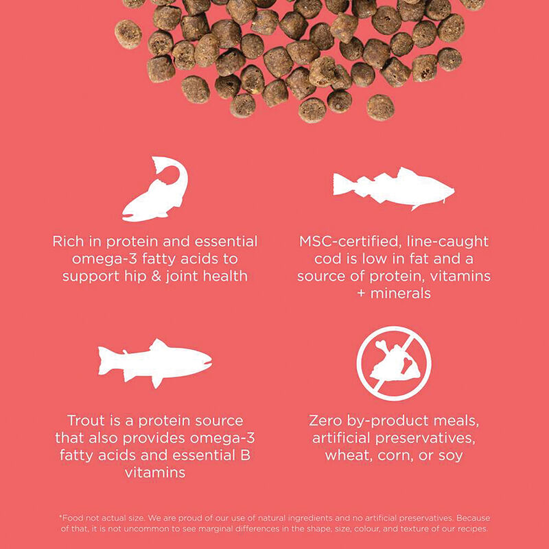GO! SOLUTIONS CARNIVORE Grain Free Salmon + Cod Recipe for cats image number null
