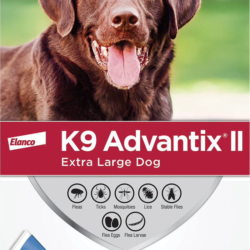 K9 Advantix II, Dog - X-Large - 25kg+ - 4 pk image number null