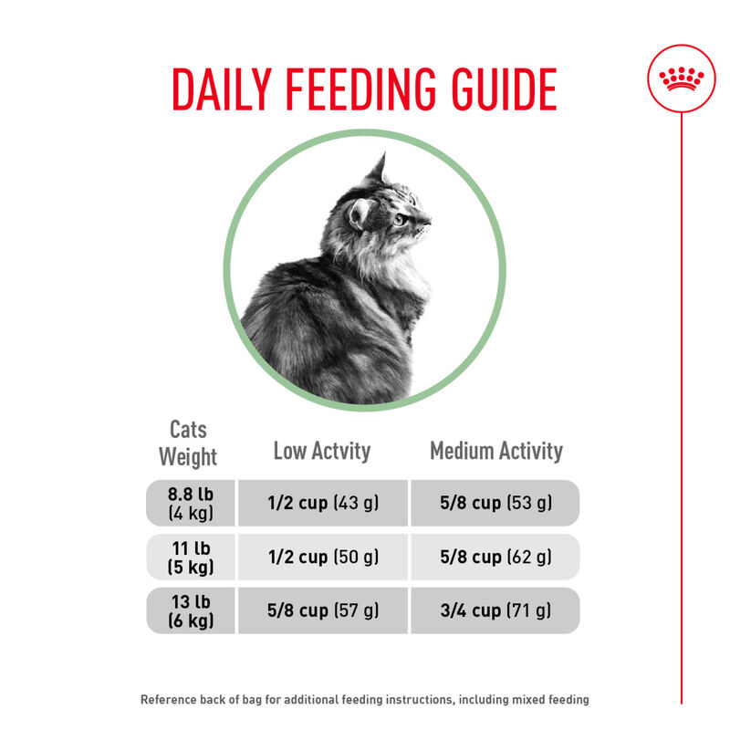 Royal Canin, Feline Care Nutrition Digestive Care Adult - Dry Cat Food image number null