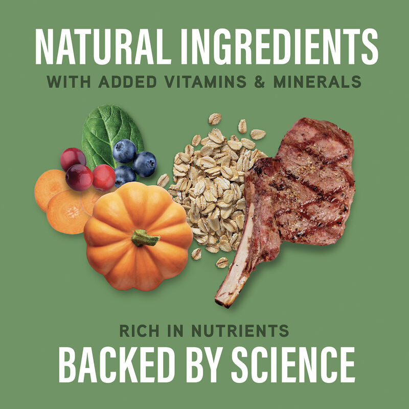 Natural Balance, Specialized Nutrition - Digestive & Immune Health Lamb & Oatmeal Formula - Dry Dog image number null