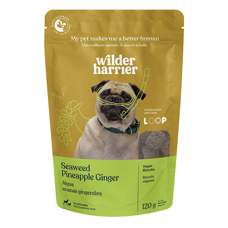 Wilder Harrier, Vegan Biscuits - Seaweed Pineapple Ginger - 120 g image number null