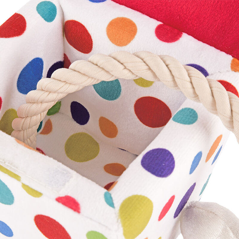 P.L.A.Y. Pet Lifestyle and You, Party Time - Pawfect Present - 4" image number null